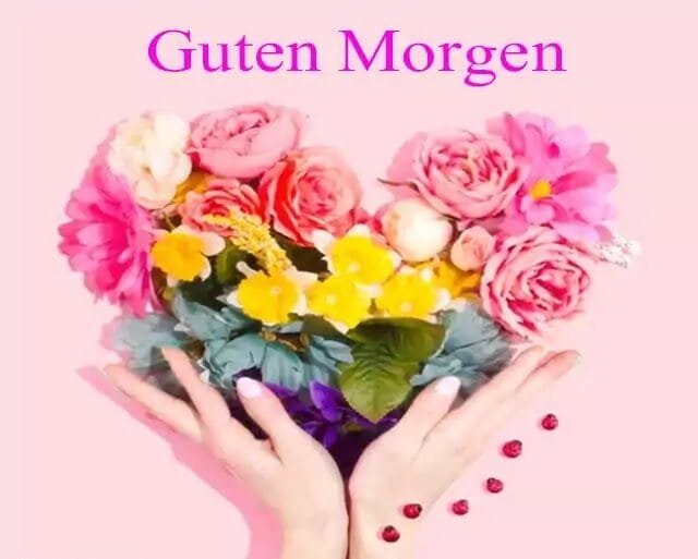 guten-morgen-bilder-kostenlos-wunsche-hd-fotos-whatsapp-dp