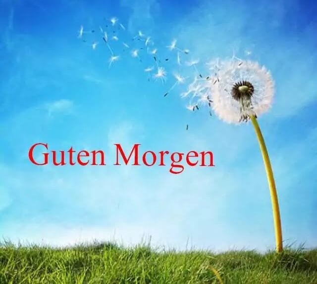 guten-morgen-bilder-kostenlos-wunsche-hd-fotos-whatsapp-dp