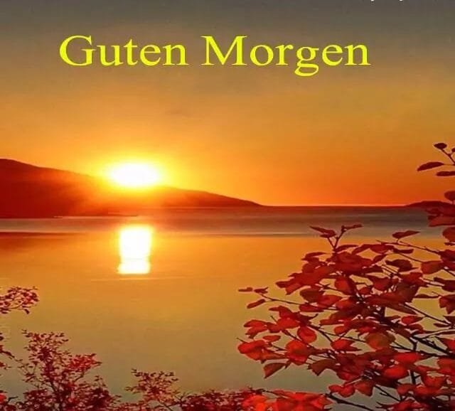 guten-morgen-bilder-kostenlos-wunsche-hd-fotos-whatsapp-dp