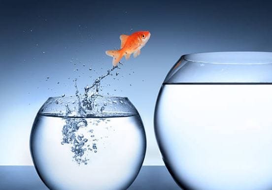 Schöne Bilder DP Für WhatsApp HD, Bild, Fotos, Status