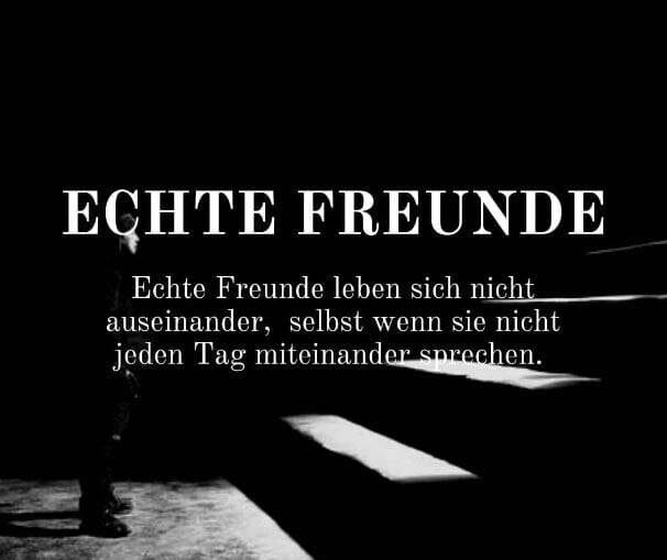 echte freunde sprüche echte freundschaft sprüche echte freunde spruch sprüche echte freundschaft echte freunde zitate spruch echte freunde sprüche echte freunde echte freunde sprüche lustig sprüche über echte freunde echte freundschaft zitate sprüche über echte freundschaft echte freundinnen sprüche sprüche für echte freunde zitate echte freunde echt freunde sprüche spruch echte freundschaft.