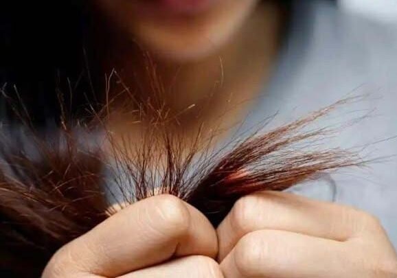 Schützen Sie langes Haar auf diese Weise: Pflege für langes Haar 2 Schützen Sie langes Haar auf diese Weise: Pflege für langes Haar